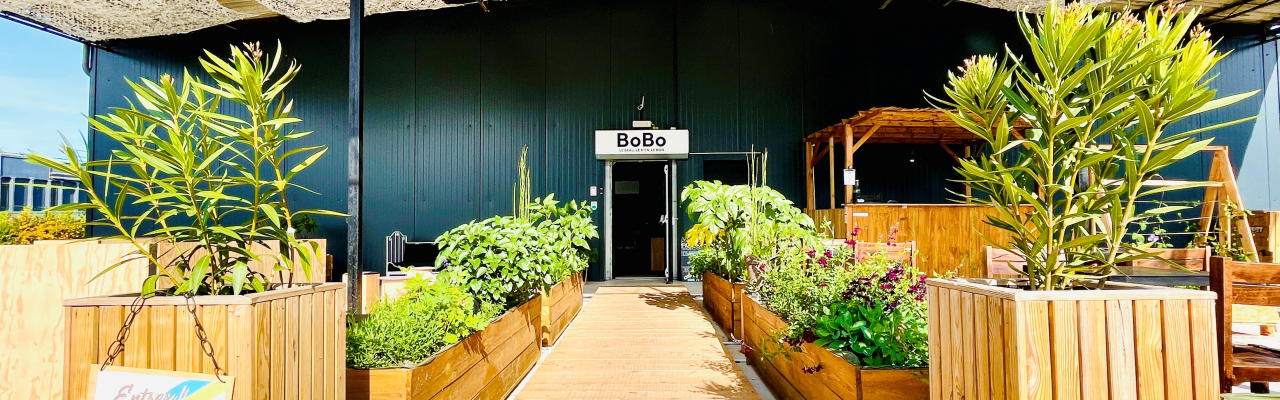 Bienvenu chez BoBo